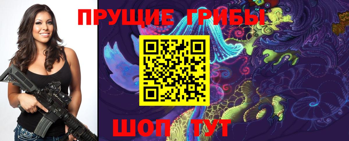 дарнет шоп  Вход с VPN  Калининград  Псилоцибиновые грибы MAGIC MUSHROOMS  Галлюциногенные грибы GOLDEN TEACHER 